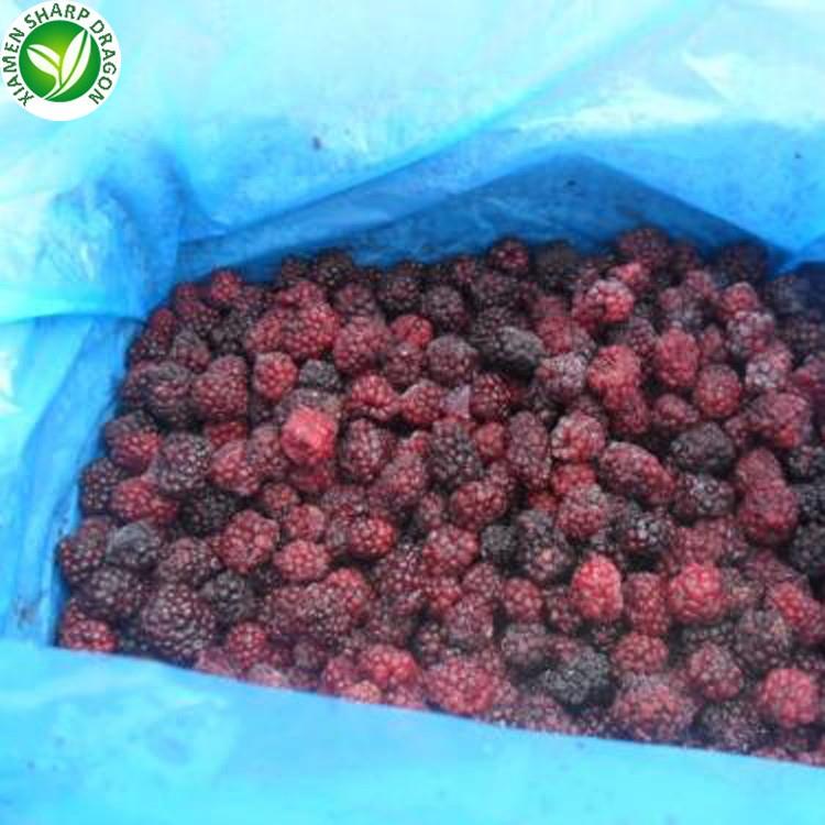 IQF frozen blackberry price per ton Grade A whole berries