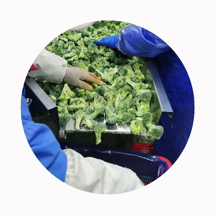 frozen broccoli for foodservice and wholesale distribution frozen broccoli for foodservice and wholesale distribution
