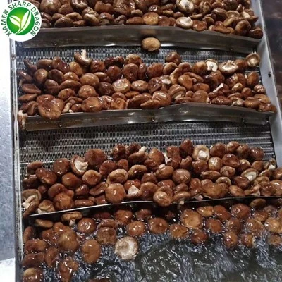Großhandelspreise für Shiitake-Pilze