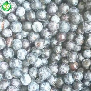 Beste Bio-Blaubeeren