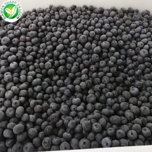 Blaubeeren einfrieren