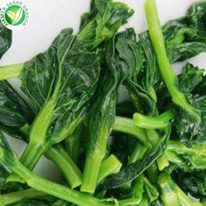 Gefrorene IQF-Rapsblume