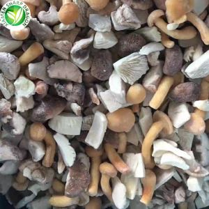 Gefrorener gemischter Pilz