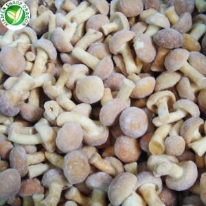 Nameko-Pilz