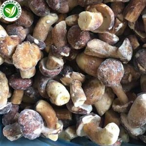 Gefrorene geschnittene Steinpilze