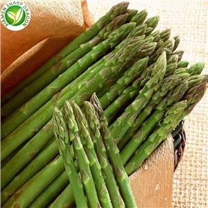 Gefrorener Spargel Käuferpreis
