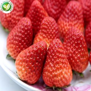 Gefrorene kleine Erdbeeren, Preis pro kg