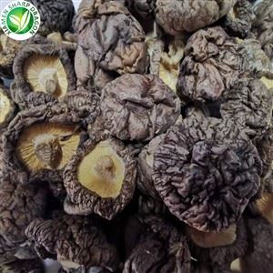 Pilze getrocknet