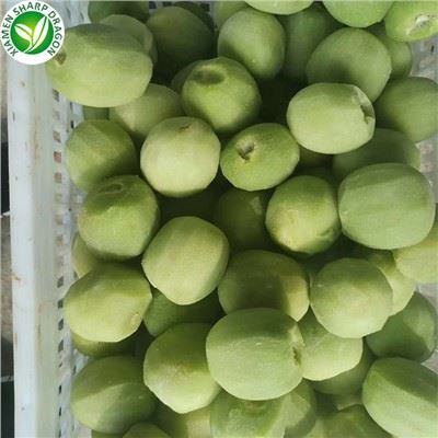 Gefrorener Kiwi -Obst online kaufen