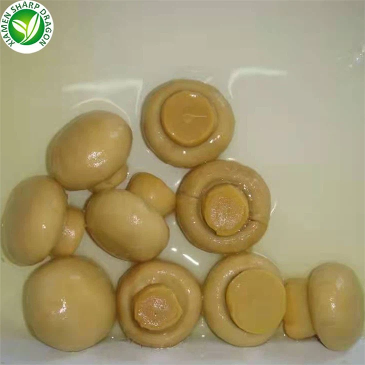 Best Canned Mushrooms