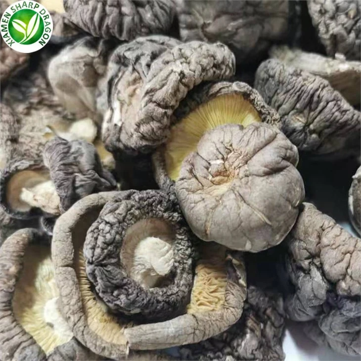 Dry Shiitake Mushrooms